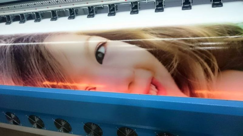 İnce Vinil Baskı Sinop