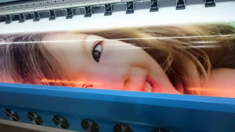 İnce Vinil Baskı Sinop