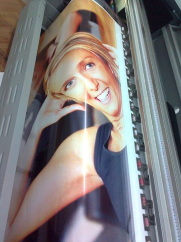 Mesh Vinil